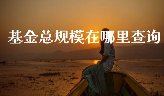 基金总规模在哪里查询_https://m.jnkyh.com_国际原油_第1张