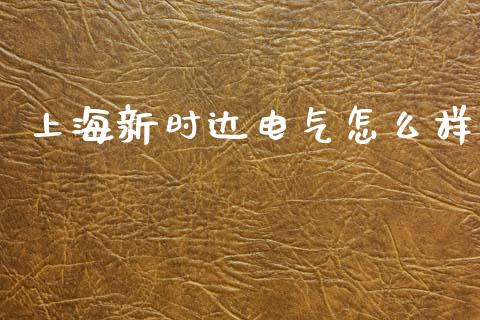上海新时达电气怎么样_https://m.jnkyh.com_期货开户条件_第1张