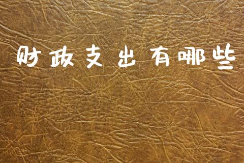 财政支出有哪些_https://m.jnkyh.com_股指期货_第1张