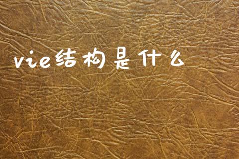 vie结构是什么_https://m.jnkyh.com_股票交易_第1张