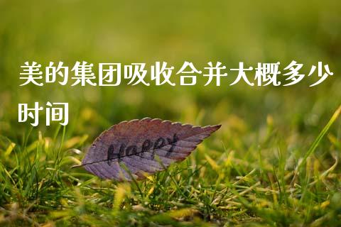 美的集团吸收合并大概多少时间_https://m.jnkyh.com_国际原油_第1张