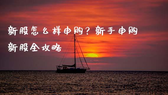 新股怎么样申购？新手申购新股全攻略_https://m.jnkyh.com_股指期货_第1张