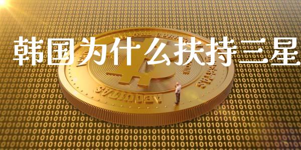 韩国为什么扶持三星_https://m.jnkyh.com_国际原油_第1张