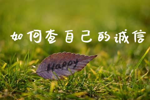 如何查自己的诚信_https://m.jnkyh.com_股票交易_第1张