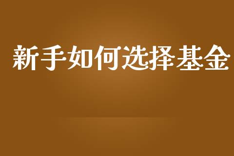 新手如何选择基金_https://m.jnkyh.com_期货开户条件_第1张