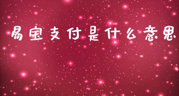 易宝支付是什么意思_https://m.jnkyh.com_期货开户条件_第1张