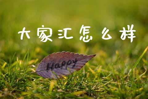 大家汇怎么样_https://m.jnkyh.com_股票交易_第1张