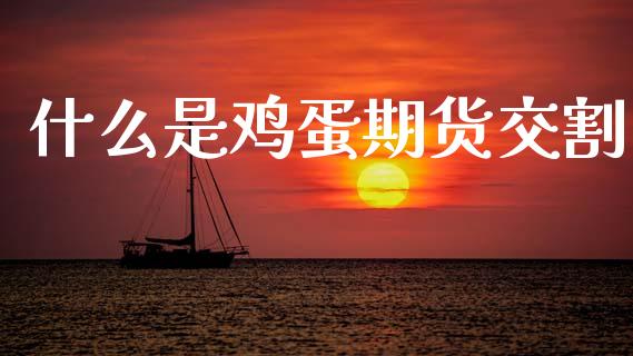 什么是鸡蛋期货交割_https://m.jnkyh.com_股指期货_第1张