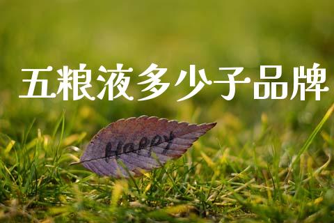 五粮液多少子品牌_https://m.jnkyh.com_股票交易_第1张