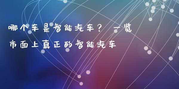哪个车是智能汽车？ 一览市面上真正的智能汽车_https://m.jnkyh.com_国际原油_第1张