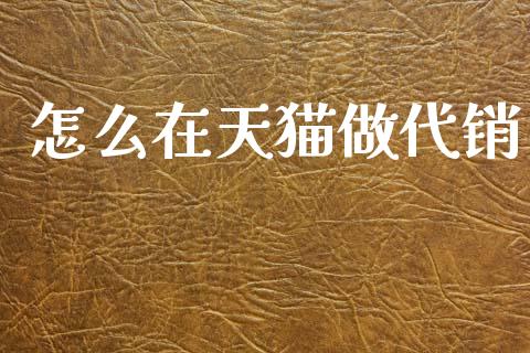 怎么在天猫做代销_https://m.jnkyh.com_期货开户条件_第1张