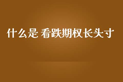 什么是 看跌期权长头寸_https://m.jnkyh.com_股指期货_第1张