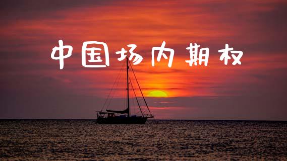 中国场内期权_https://m.jnkyh.com_股票交易_第1张
