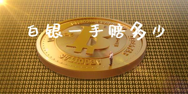 白银一手赔多少_https://m.jnkyh.com_股票交易_第1张
