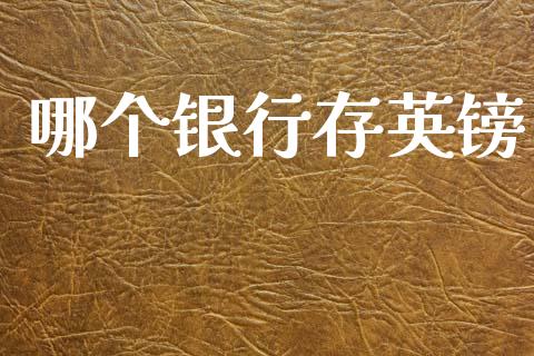 哪个银行存英镑_https://m.jnkyh.com_期货开户条件_第1张