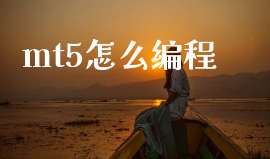 mt5怎么编程_https://m.jnkyh.com_期货开户条件_第1张