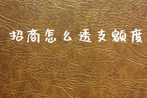 招商怎么透支额度_https://m.jnkyh.com_股指期货_第1张