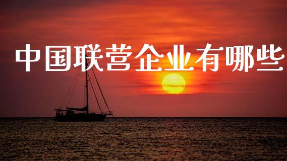 中国联营企业有哪些_https://m.jnkyh.com_股指期货_第1张