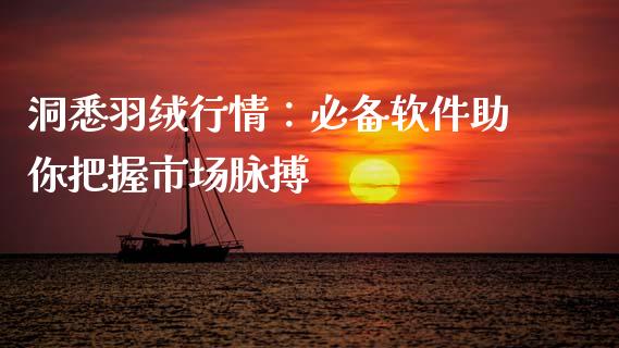 洞悉羽绒行情：必备软件助你把握市场脉搏_https://m.jnkyh.com_股票交易_第1张