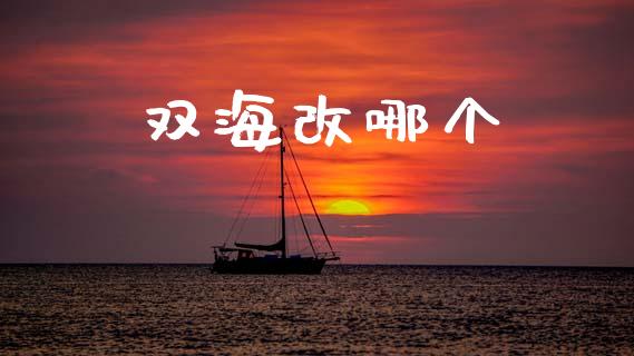 双海改哪个_https://m.jnkyh.com_国际原油_第1张