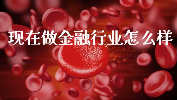 现在做金融行业怎么样_https://m.jnkyh.com_期货开户条件_第1张