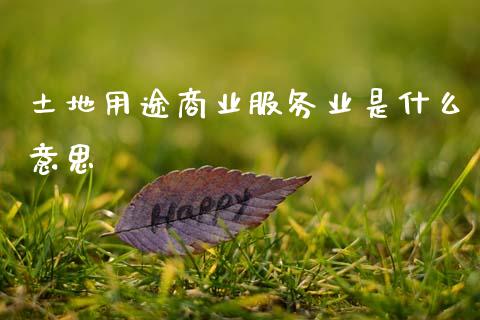 土地用途商业服务业是什么意思_https://m.jnkyh.com_股指期货_第1张