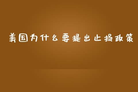 美国为什么要提出止损政策_https://m.jnkyh.com_股指期货_第1张