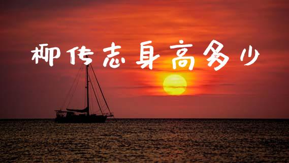 柳传志身高多少_https://m.jnkyh.com_股指期货_第1张