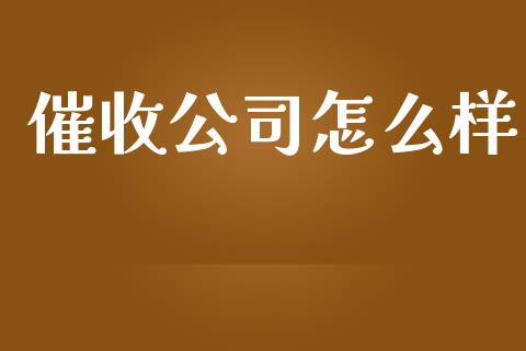 催收公司怎么样_https://m.jnkyh.com_期货开户条件_第1张