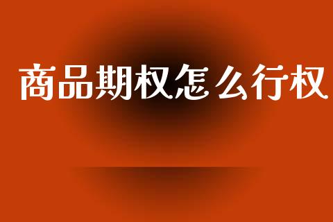 商品期权怎么行权_https://m.jnkyh.com_国际原油_第1张