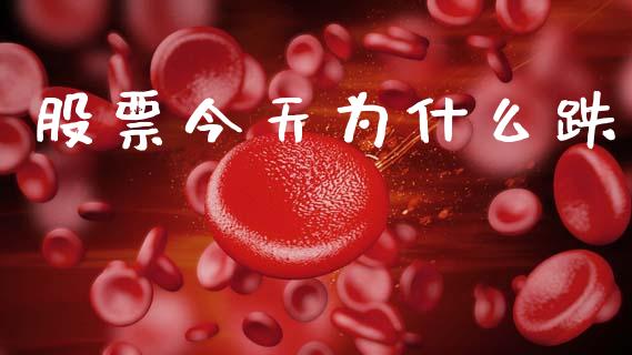 股票今天为什么跌_https://m.jnkyh.com_期货开户条件_第1张