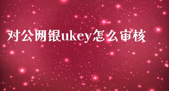 对公网银ukey怎么审核_https://m.jnkyh.com_国际原油_第1张