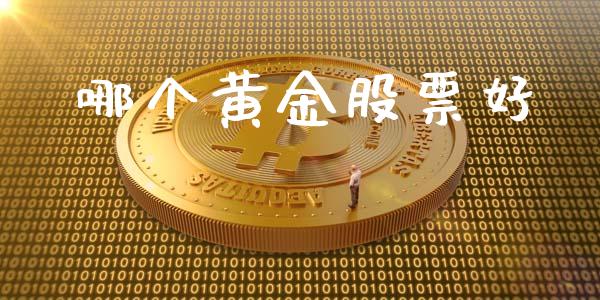 哪个黄金股票好_https://m.jnkyh.com_国际原油_第1张