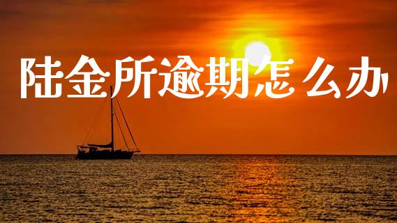 陆金所逾期怎么办_https://m.jnkyh.com_股票交易_第1张