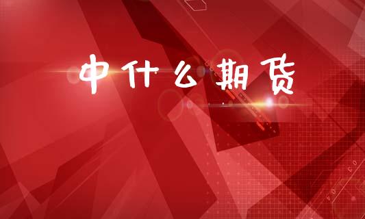 中什么期货_股指期货_第1张_股指期货_期货开户条件_国际原油_股票交易 中什么期货_https://m.jnkyh.com_股指期货_第1张