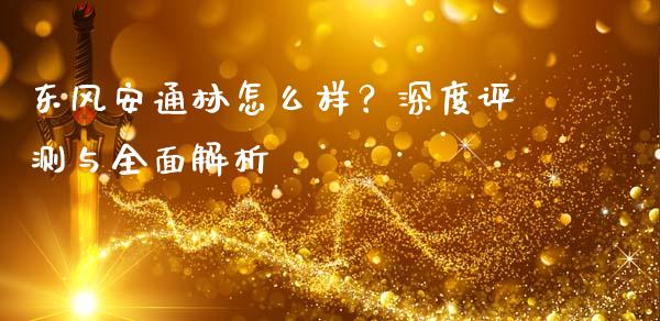 东风安通林怎么样？深度评测与全面解析_https://m.jnkyh.com_股指期货_第1张