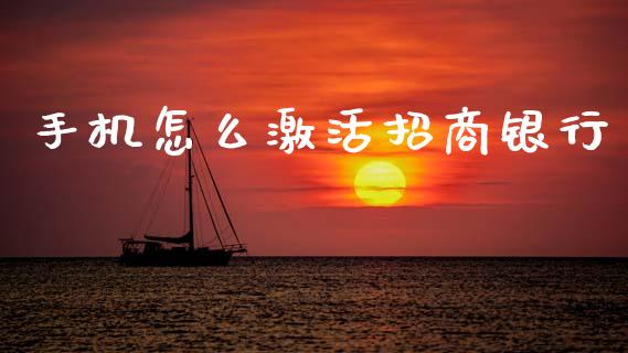 手机怎么激活招商银行_https://m.jnkyh.com_股指期货_第1张