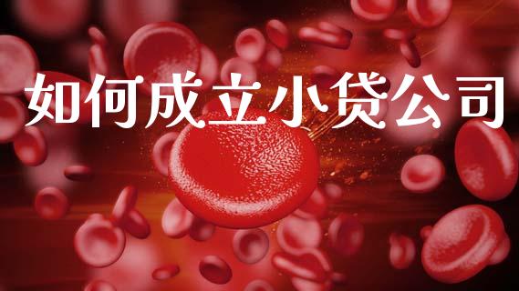 如何成立小贷公司_https://m.jnkyh.com_股票交易_第1张