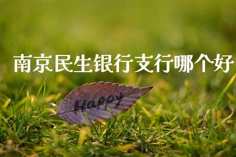 南京民生银行支行哪个好_https://m.jnkyh.com_期货开户条件_第1张