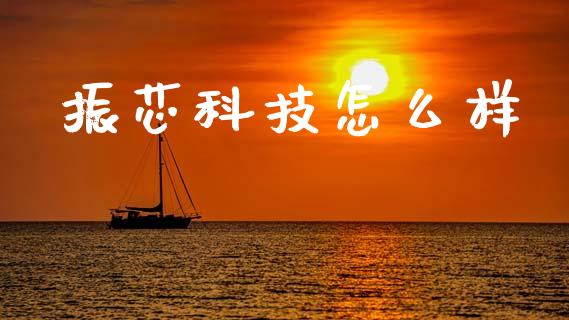 振芯科技怎么样_https://m.jnkyh.com_股票交易_第1张