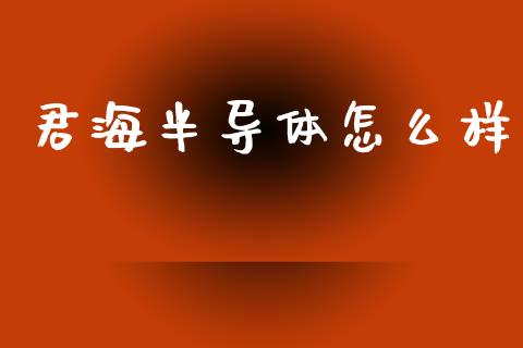 君海半导体怎么样_https://m.jnkyh.com_股指期货_第1张