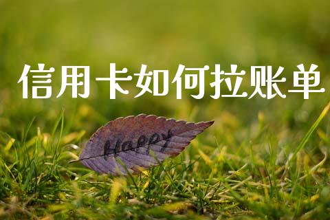 信用卡如何拉账单_https://m.jnkyh.com_期货开户条件_第1张