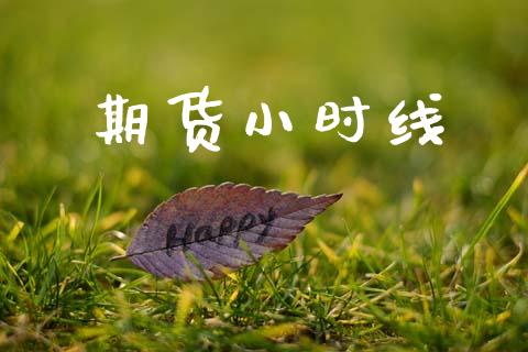 期货小时线_https://m.jnkyh.com_股票交易_第1张