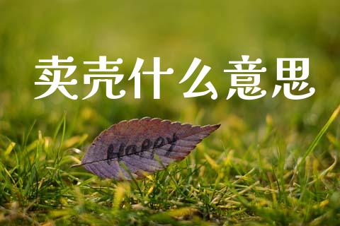 卖壳什么意思_https://m.jnkyh.com_股指期货_第1张