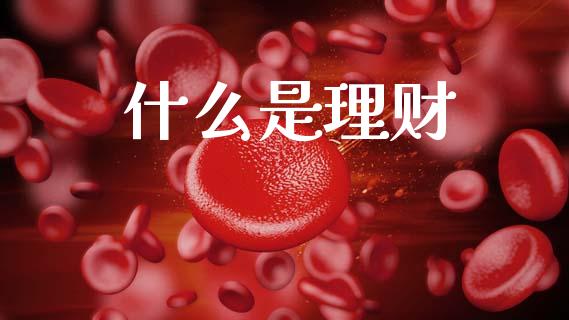 什么是理财_https://m.jnkyh.com_股票交易_第1张