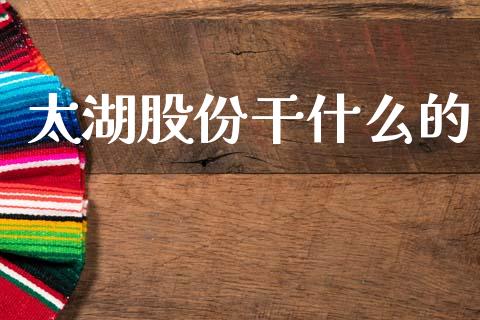 太湖股份干什么的_https://m.jnkyh.com_股票交易_第1张