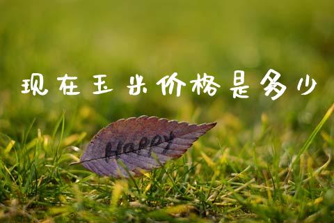 现在玉米价格是多少_https://m.jnkyh.com_股票交易_第1张