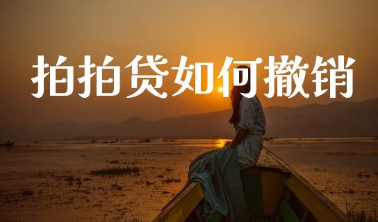 拍拍贷如何撤销_https://m.jnkyh.com_股票交易_第1张
