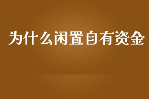 为什么闲置自有资金_https://m.jnkyh.com_国际原油_第1张