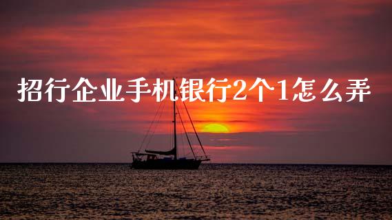 招行企业手机银行2个1怎么弄_https://m.jnkyh.com_国际原油_第1张